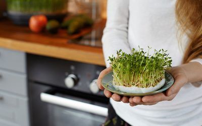 ¿Los germinados son superalimentos?